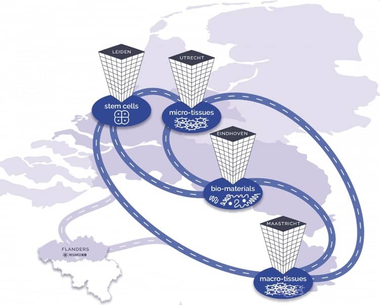 The regenerative medicine pilot lines will be opened in Leiden, Utrecht, Eindhoven and Maastricht in the Netherlands. (Material: RegMed XB)